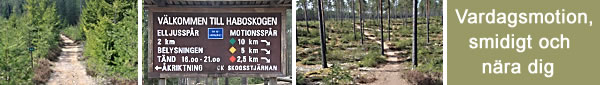 Vardagsmotion, smidigt och nära dig